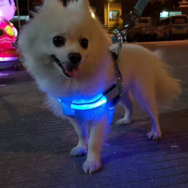 LED No-Pull Dog Harness – USB Rechargeable, Night Safety, Luminous & Adjustable Nylon Harness - Image 2
