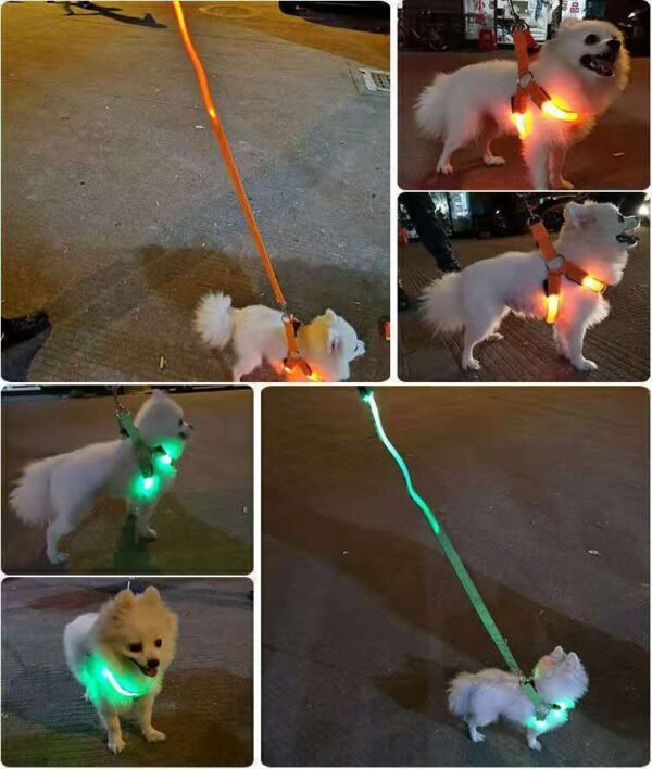 LED No-Pull Dog Harness – USB Rechargeable, Night Safety, Luminous & Adjustable Nylon Harness - Image 3